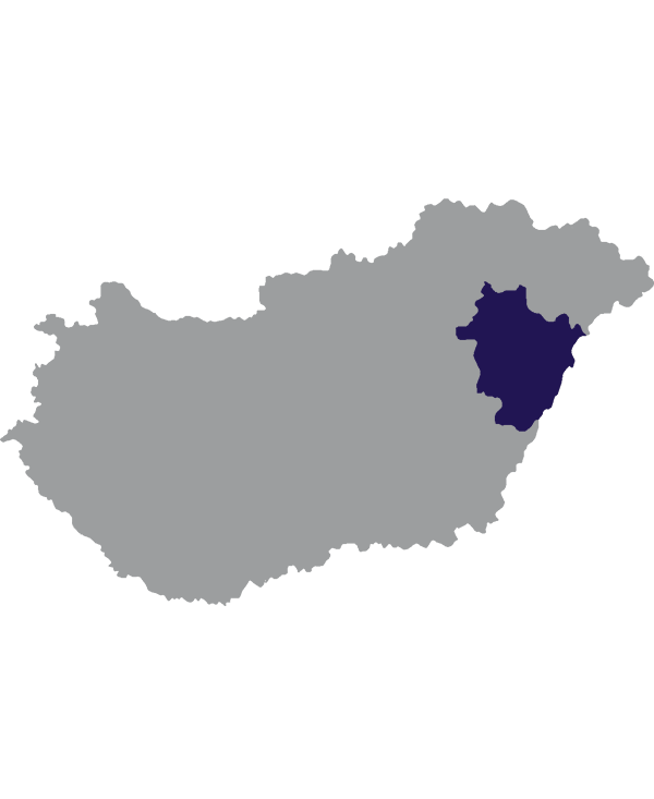 Landkaart Hongarije grijs met comitaat Hajdú-Bihar donkerblauw op transparante achtergrond - 600 * 733 pixels